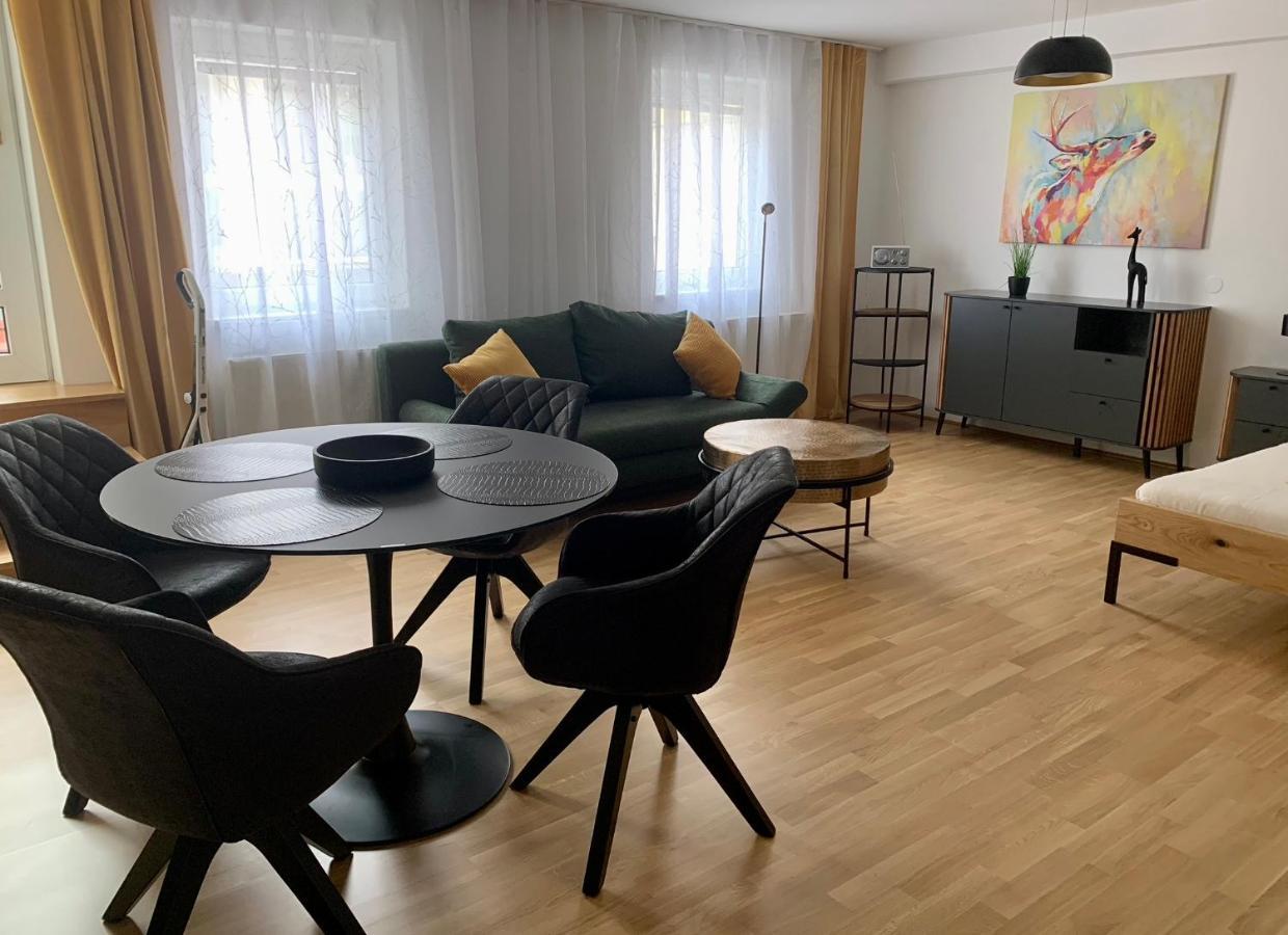 Air-Conditioned, Quiet Apartment With A Terrace In Center Of St Poelten - Smart Tv Sankt Poelten Exterior foto